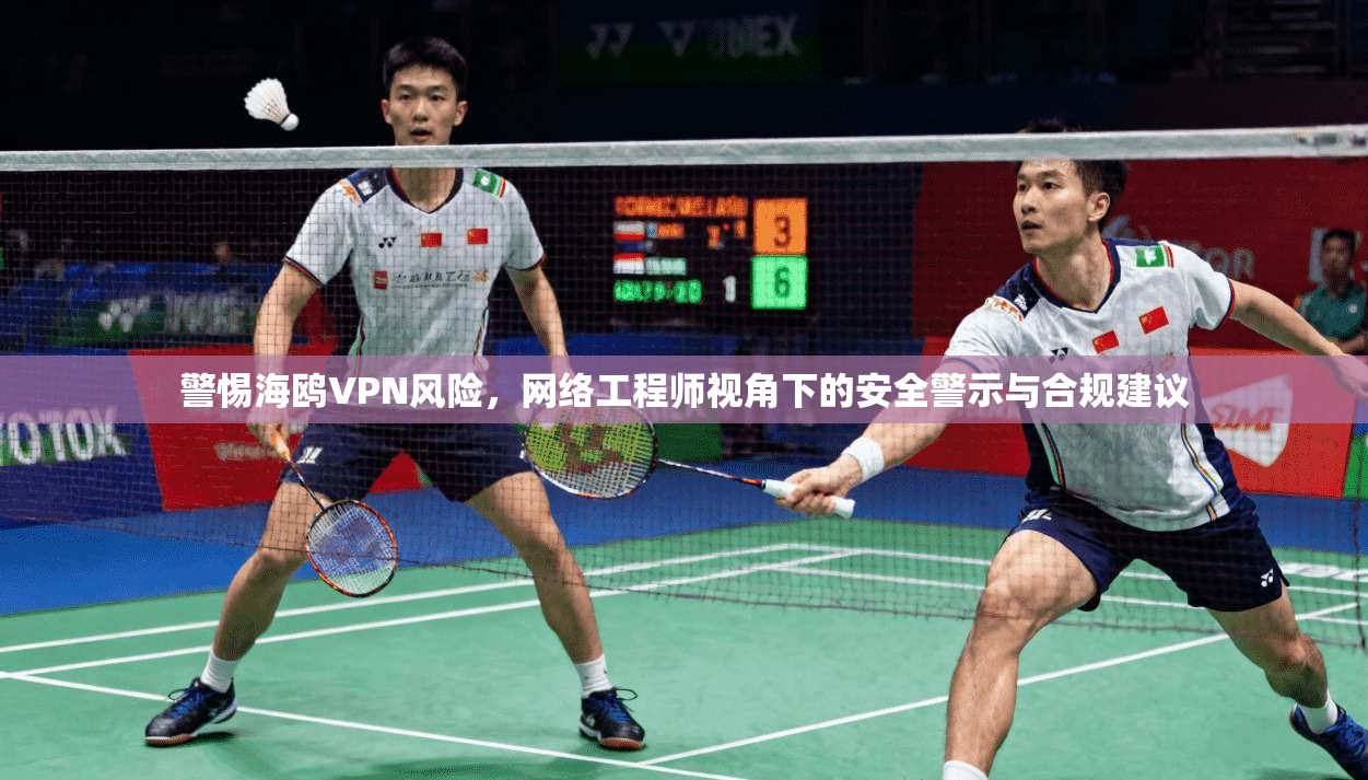 警惕海鸥VPN风险，网络工程师视角下的安全警示与合规建议
