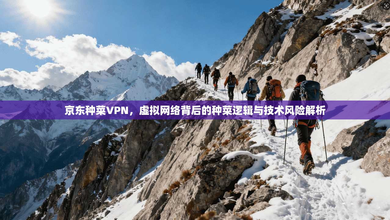 京东种菜VPN，虚拟网络背后的种菜逻辑与技术风险解析