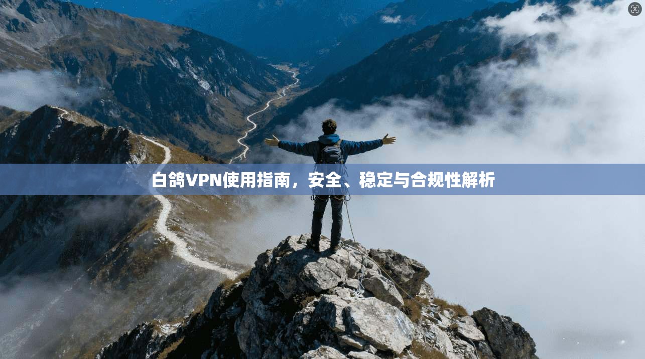 白鸽VPN使用指南，安全、稳定与合规性解析
