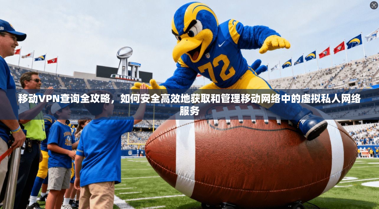 移动VPN查询全攻略，如何安全高效地获取和管理移动网络中的虚拟私人网络服务