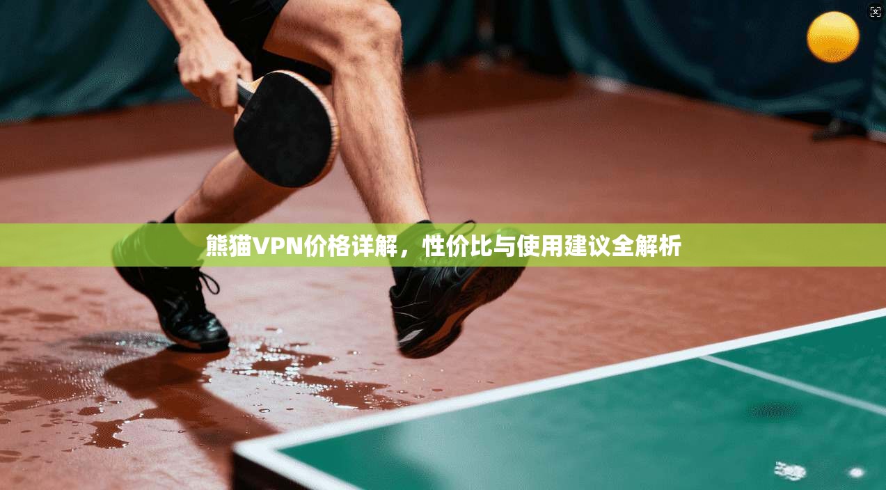 熊猫VPN价格详解，性价比与使用建议全解析