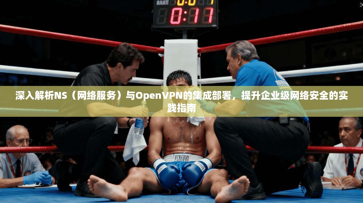 深入解析NS（网络服务）与OpenVPN的集成部署，提升企业级网络安全的实践指南