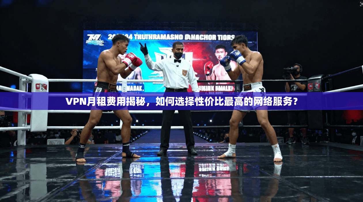 VPN月租费用揭秘，如何选择性价比最高的网络服务？