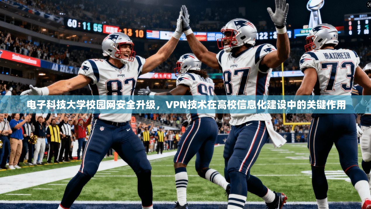 电子科技大学校园网安全升级，VPN技术在高校信息化建设中的关键作用