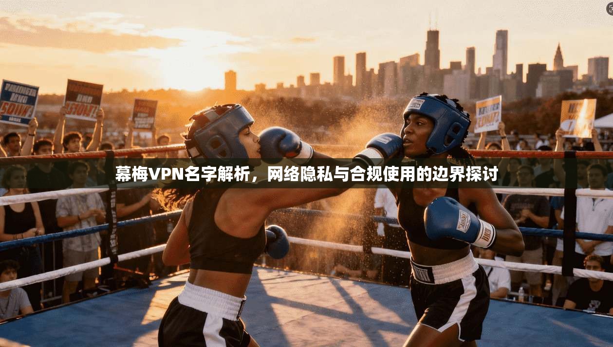 幕梅VPN名字解析，网络隐私与合规使用的边界探讨