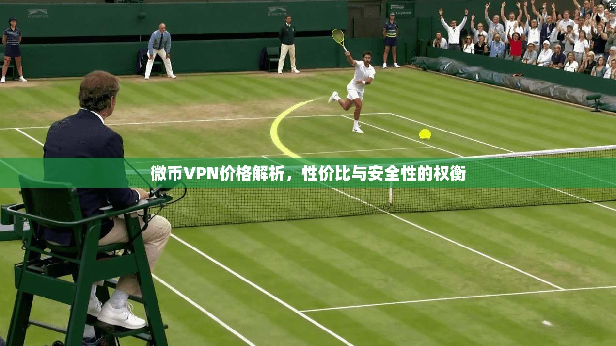 微币VPN价格解析，性价比与安全性的权衡