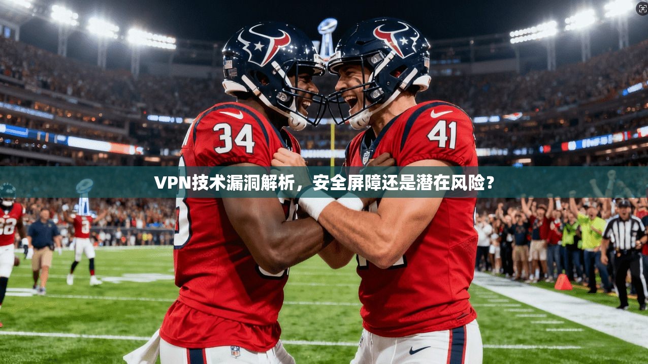 VPN技术漏洞解析，安全屏障还是潜在风险？