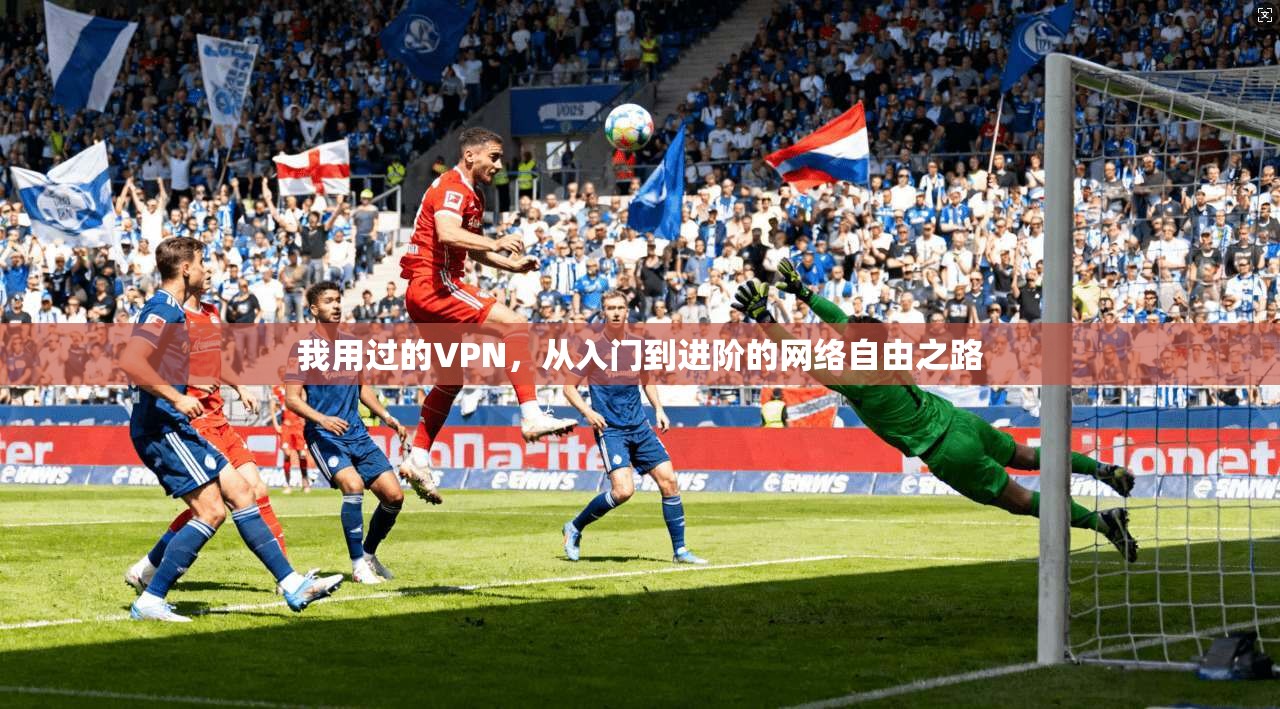我用过的VPN，从入门到进阶的网络自由之路