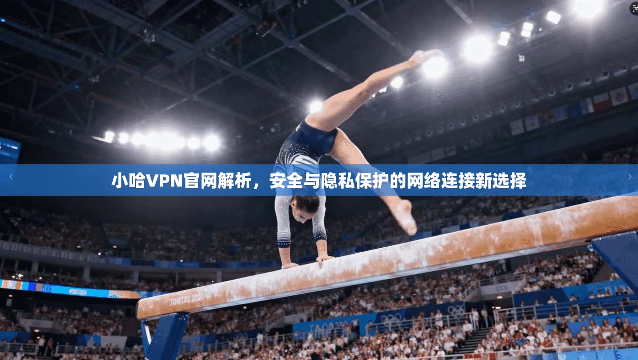 小哈VPN官网解析，安全与隐私保护的网络连接新选择