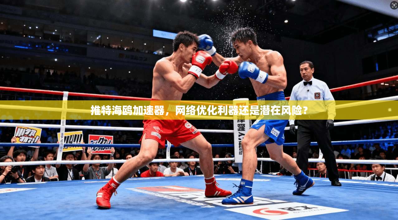推特海鸥加速器，网络优化利器还是潜在风险？
