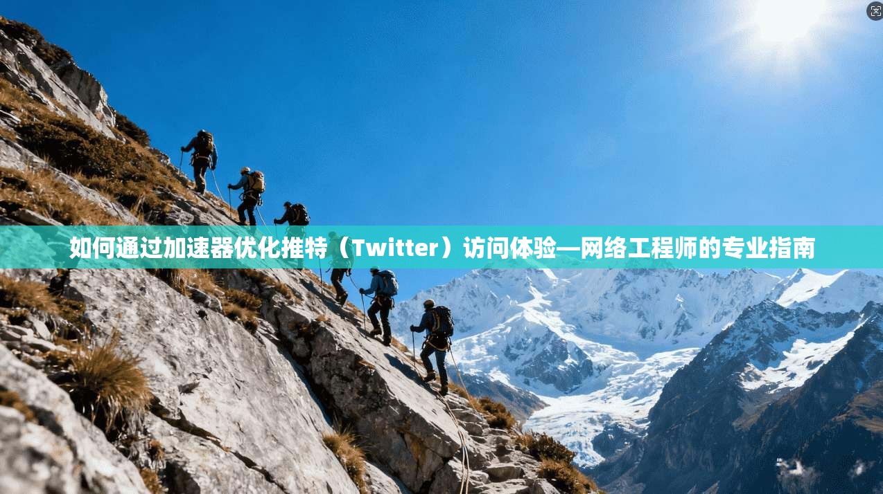如何通过加速器优化推特（Twitter）访问体验—网络工程师的专业指南