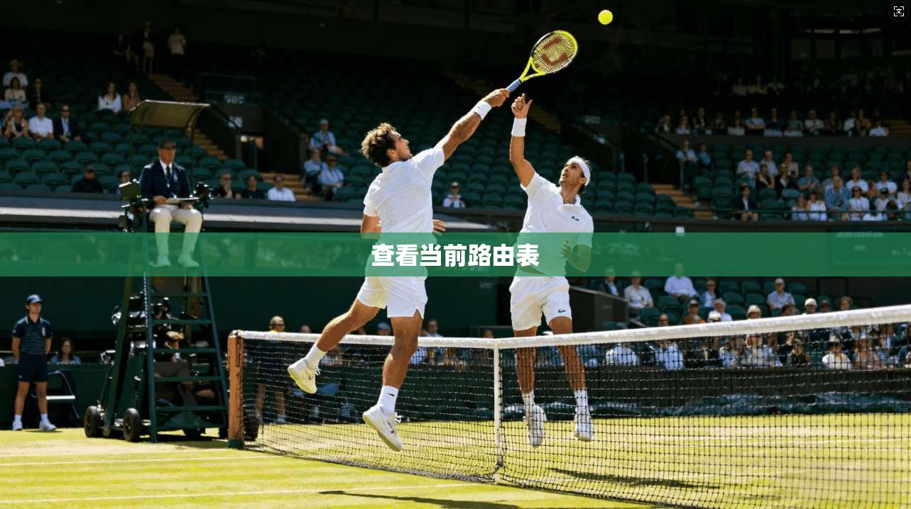 查看当前路由表