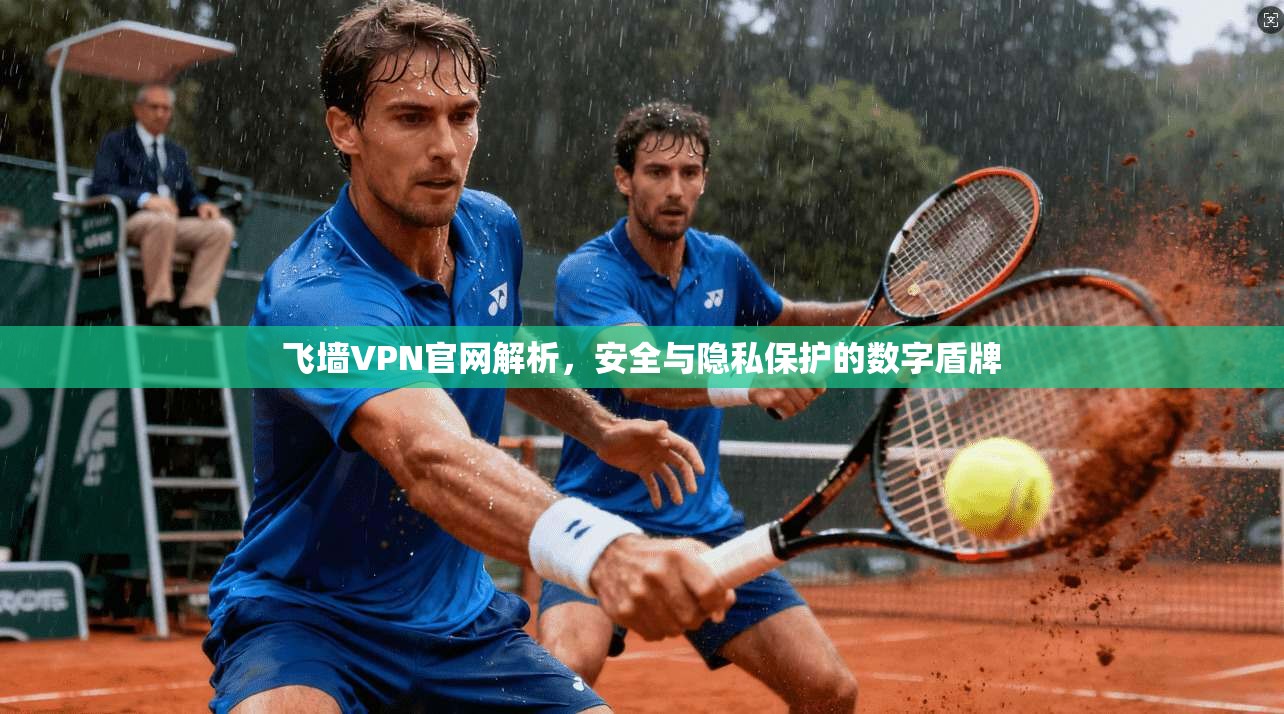 飞墙VPN官网解析，安全与隐私保护的数字盾牌