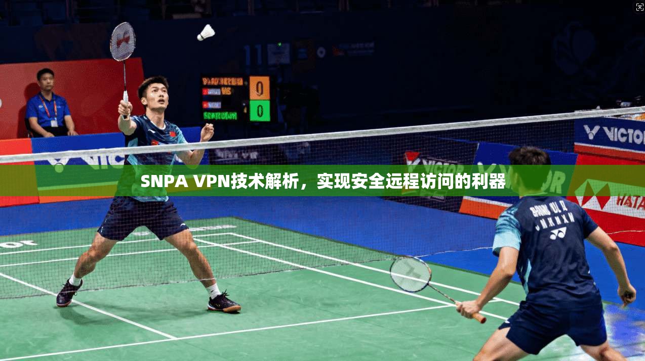 SNPA VPN技术解析，实现安全远程访问的利器