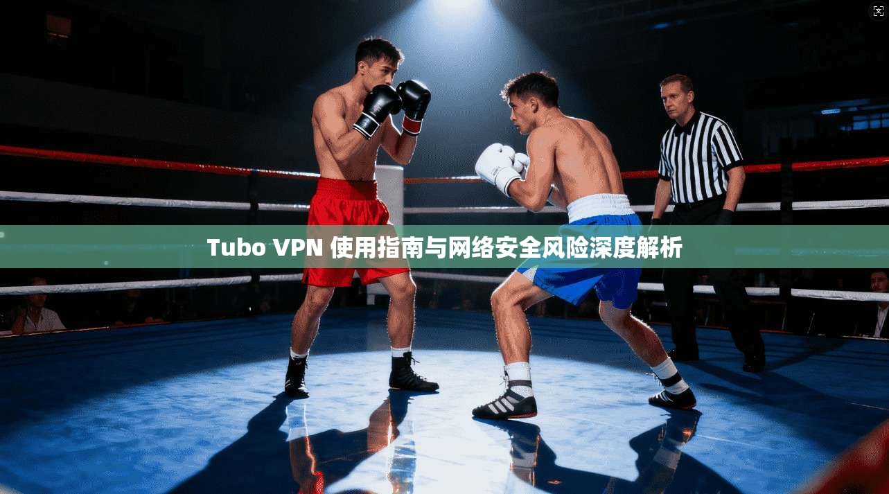 Tubo VPN 使用指南与网络安全风险深度解析
