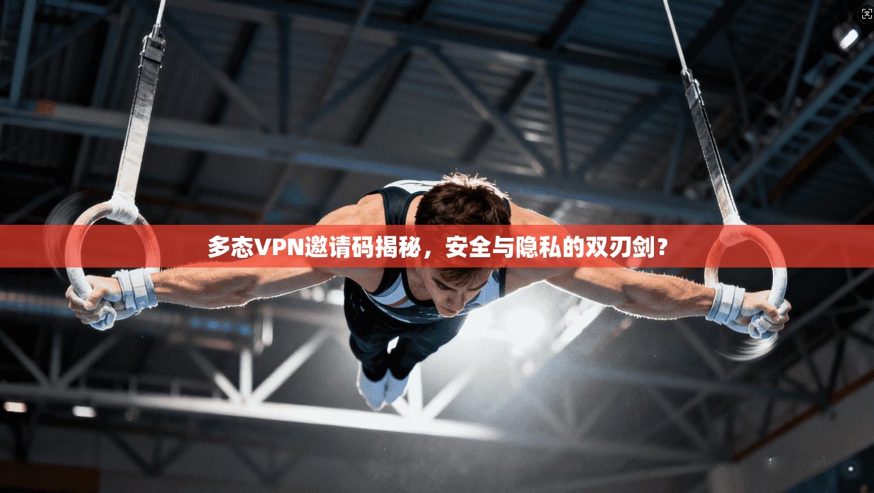 多态VPN邀请码揭秘，安全与隐私的双刃剑？
