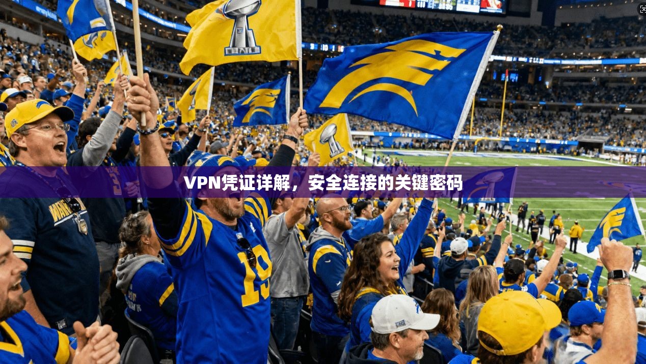 VPN凭证详解，安全连接的关键密码