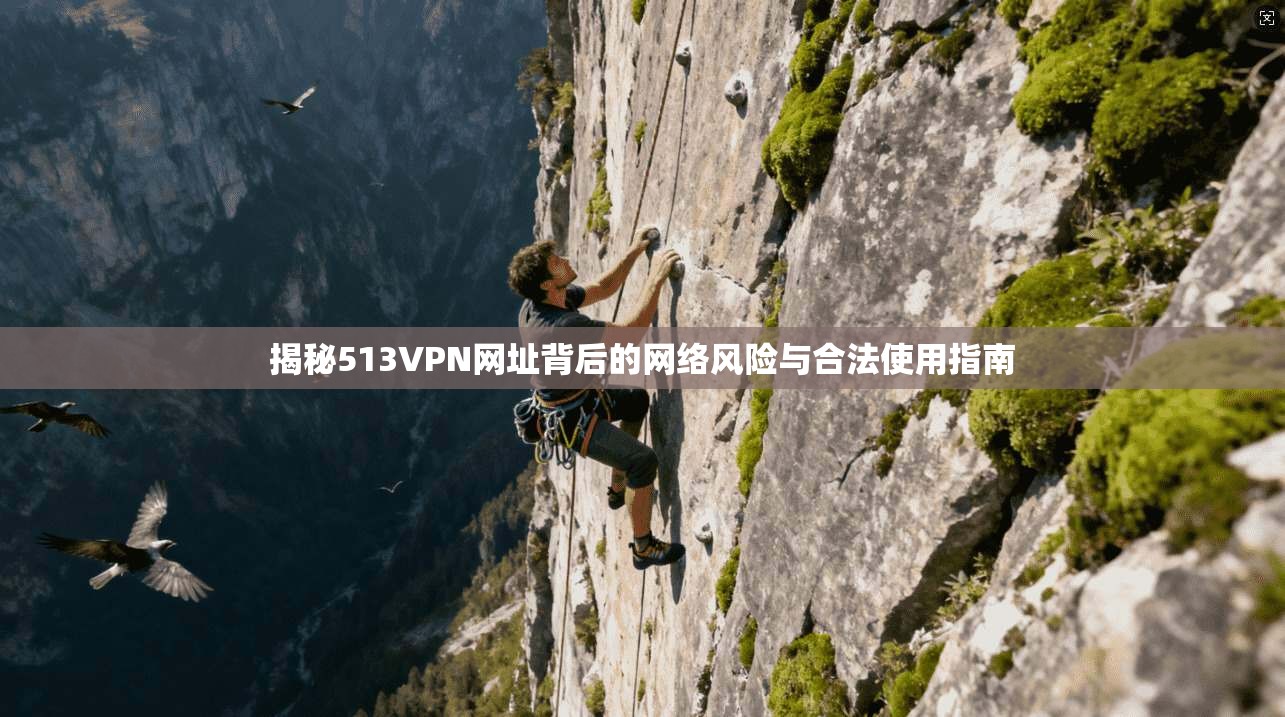 揭秘513VPN网址背后的网络风险与合法使用指南
