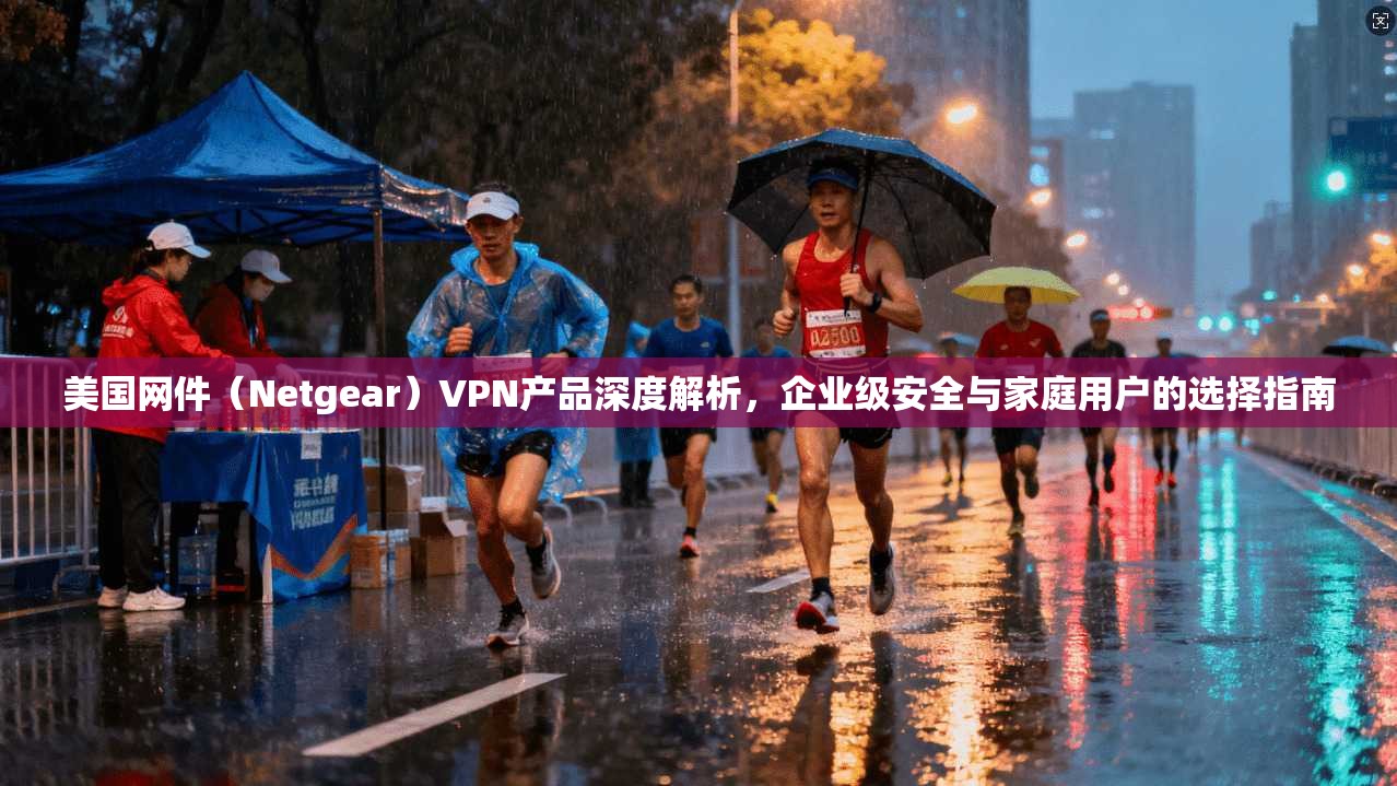 美国网件（Netgear）VPN产品深度解析，企业级安全与家庭用户的选择指南