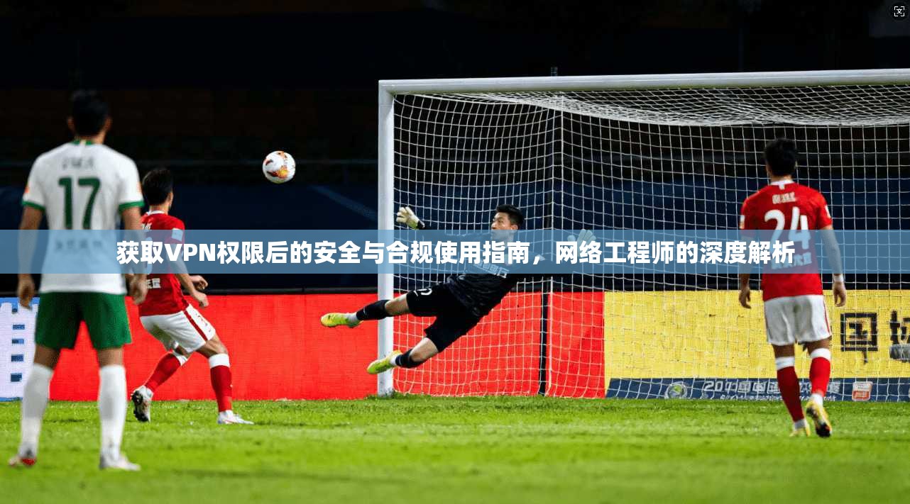 获取VPN权限后的安全与合规使用指南，网络工程师的深度解析