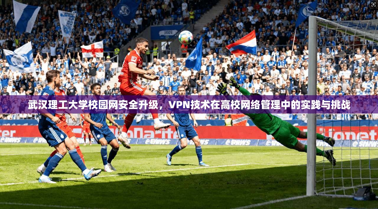 武汉理工大学校园网安全升级，VPN技术在高校网络管理中的实践与挑战