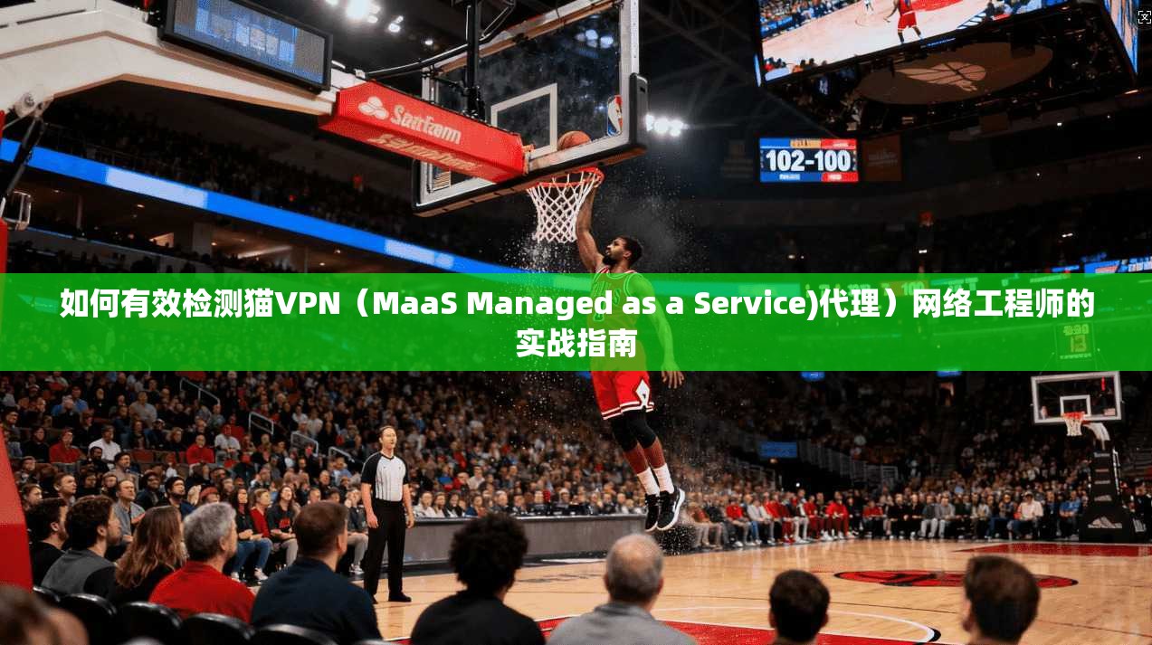 如何有效检测猫VPN（MaaS Managed as a Service)代理）网络工程师的实战指南