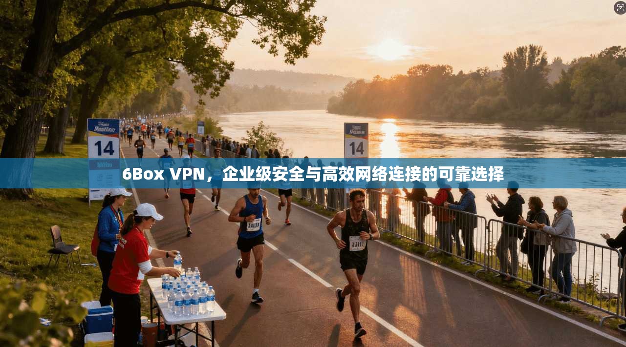 6Box VPN，企业级安全与高效网络连接的可靠选择