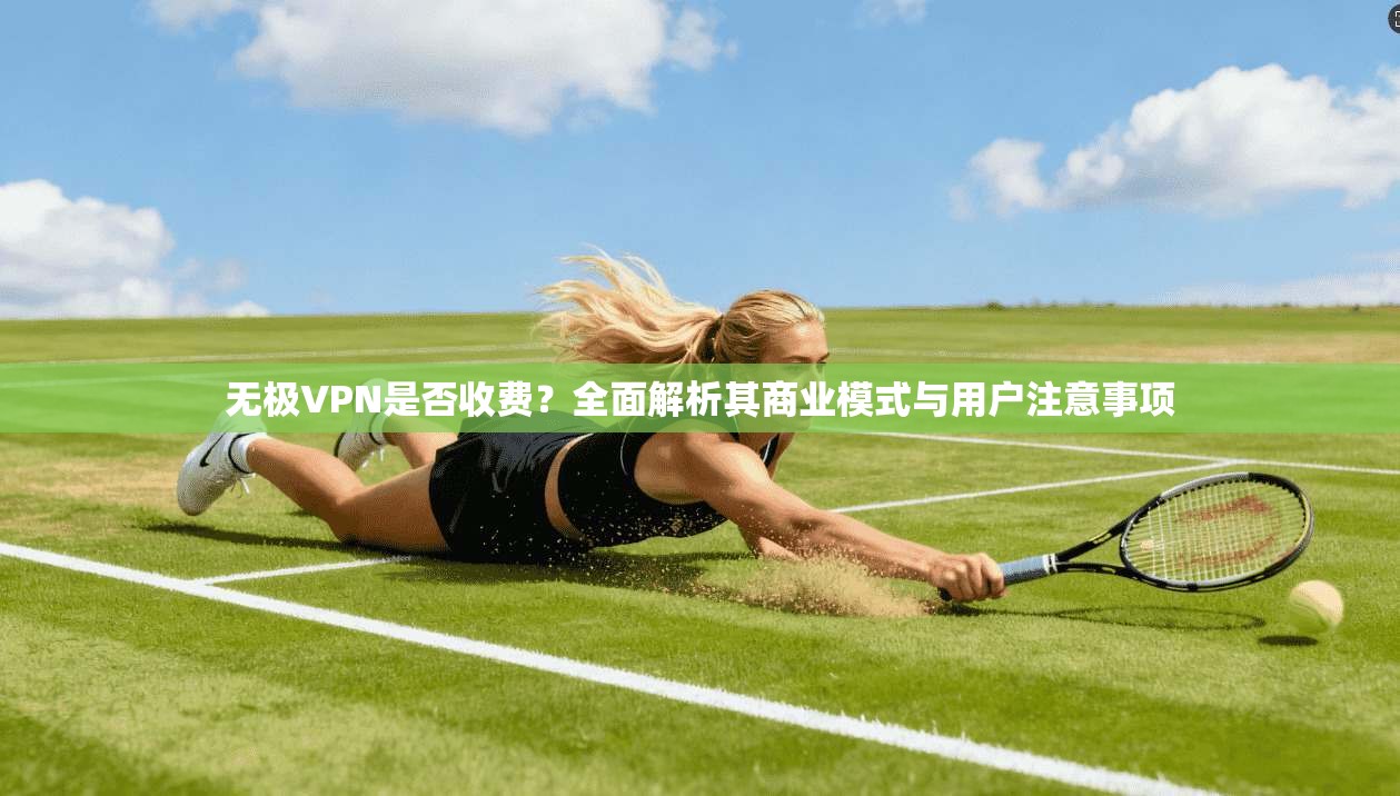 无极VPN是否收费？全面解析其商业模式与用户注意事项