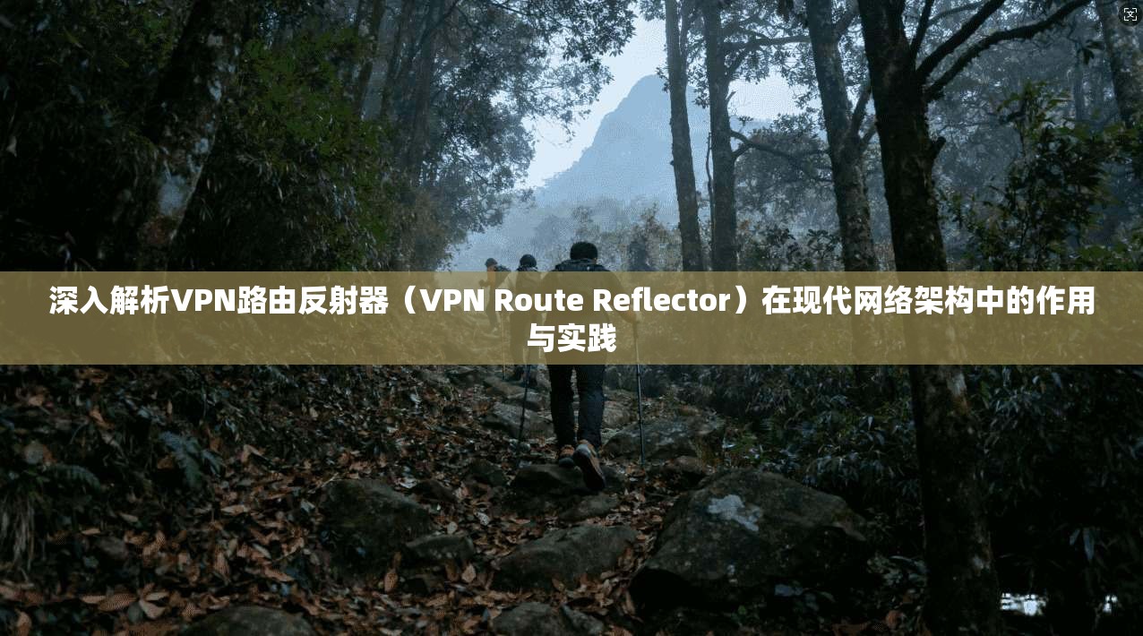 深入解析VPN路由反射器（VPN Route Reflector）在现代网络架构中的作用与实践