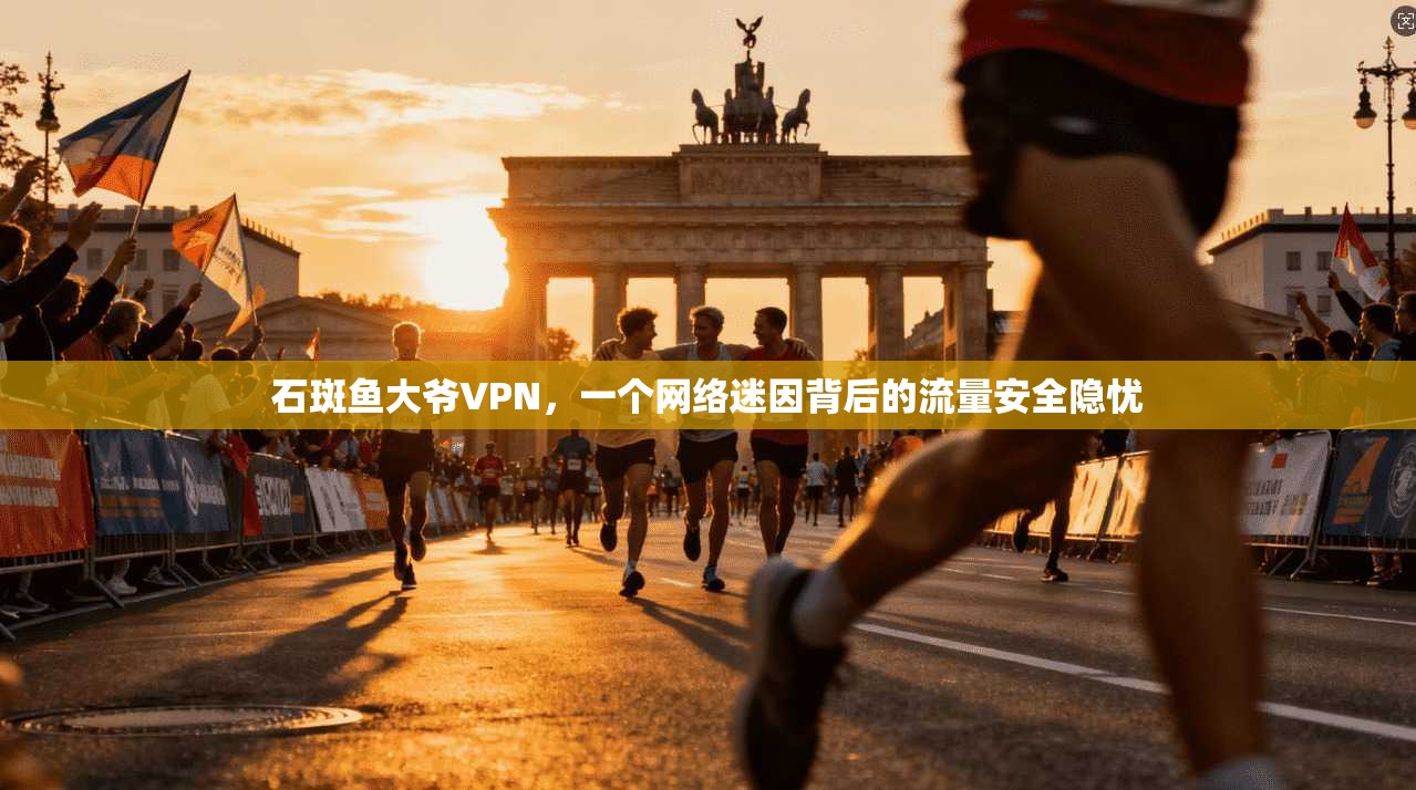 石斑鱼大爷VPN，一个网络迷因背后的流量安全隐忧