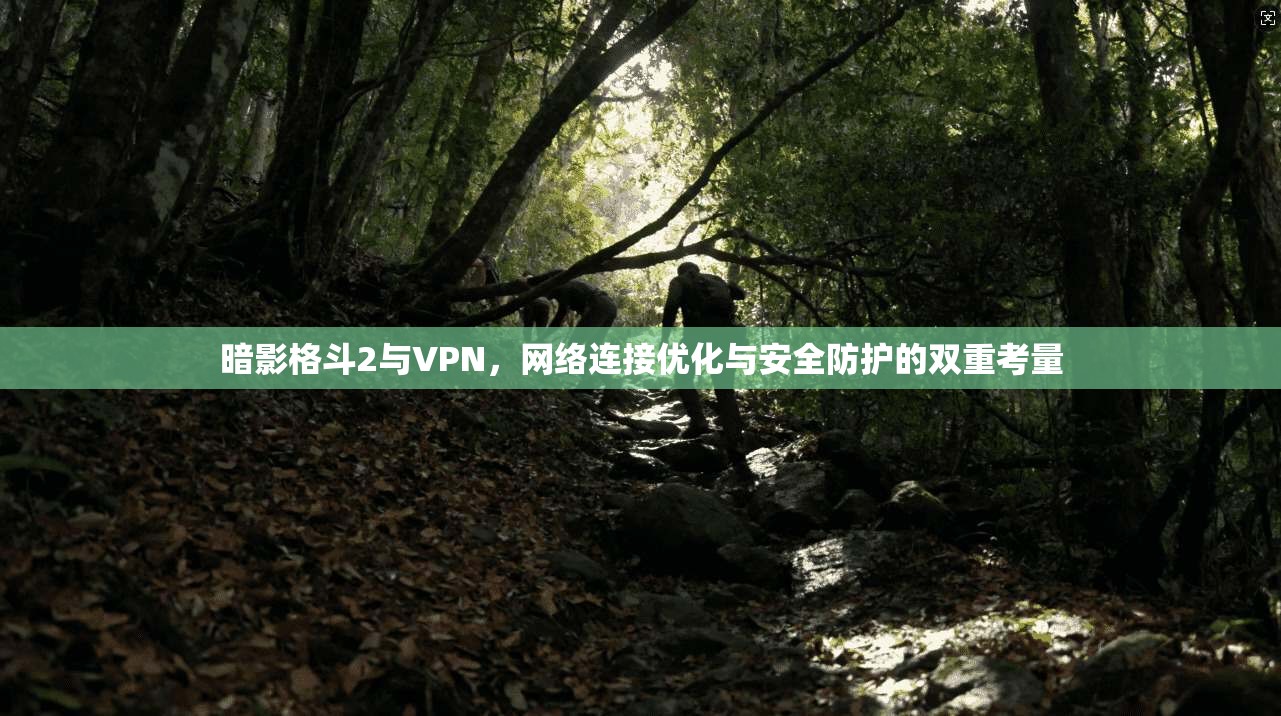 暗影格斗2与VPN，网络连接优化与安全防护的双重考量