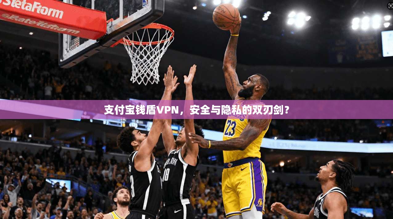 支付宝钱盾VPN，安全与隐私的双刃剑？