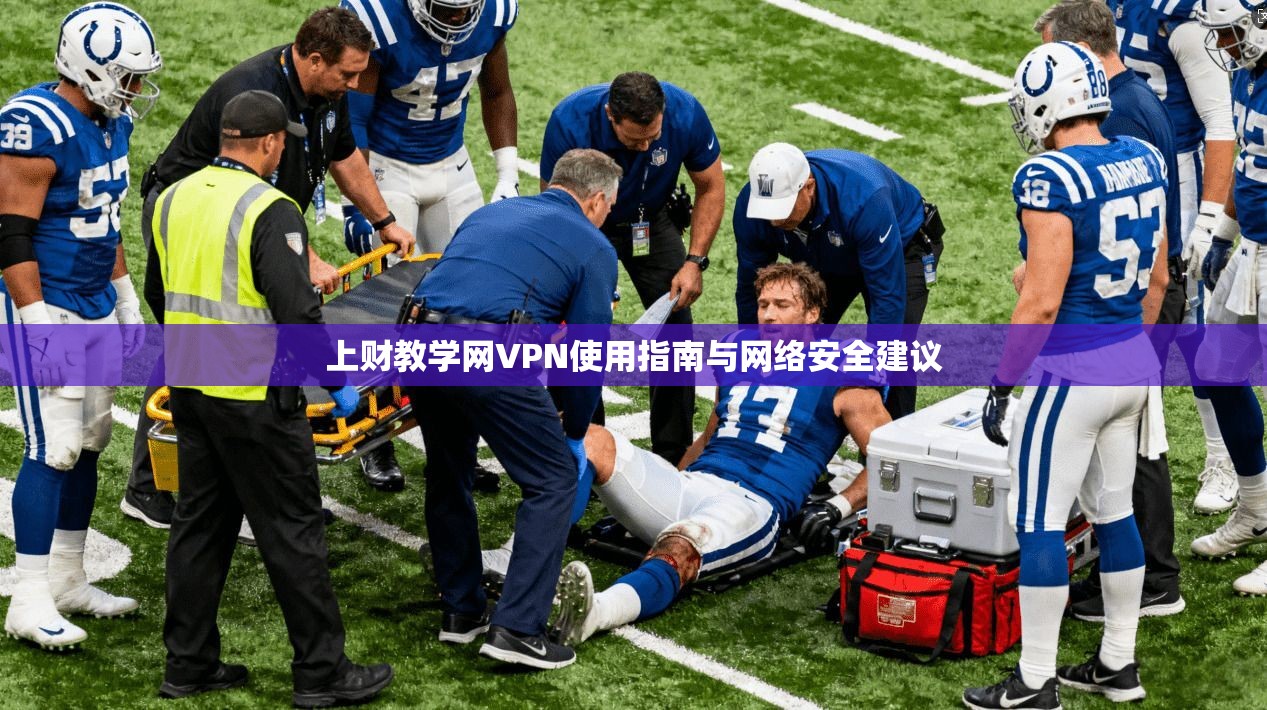上财教学网VPN使用指南与网络安全建议