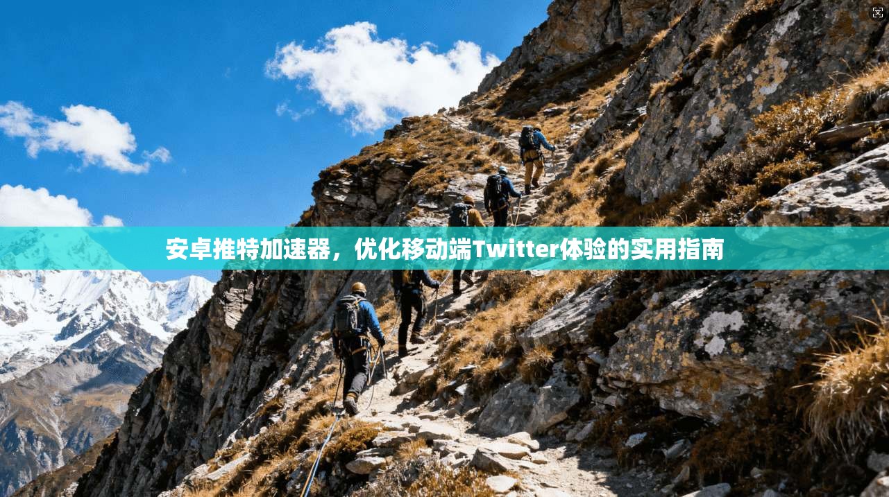 安卓推特加速器，优化移动端Twitter体验的实用指南