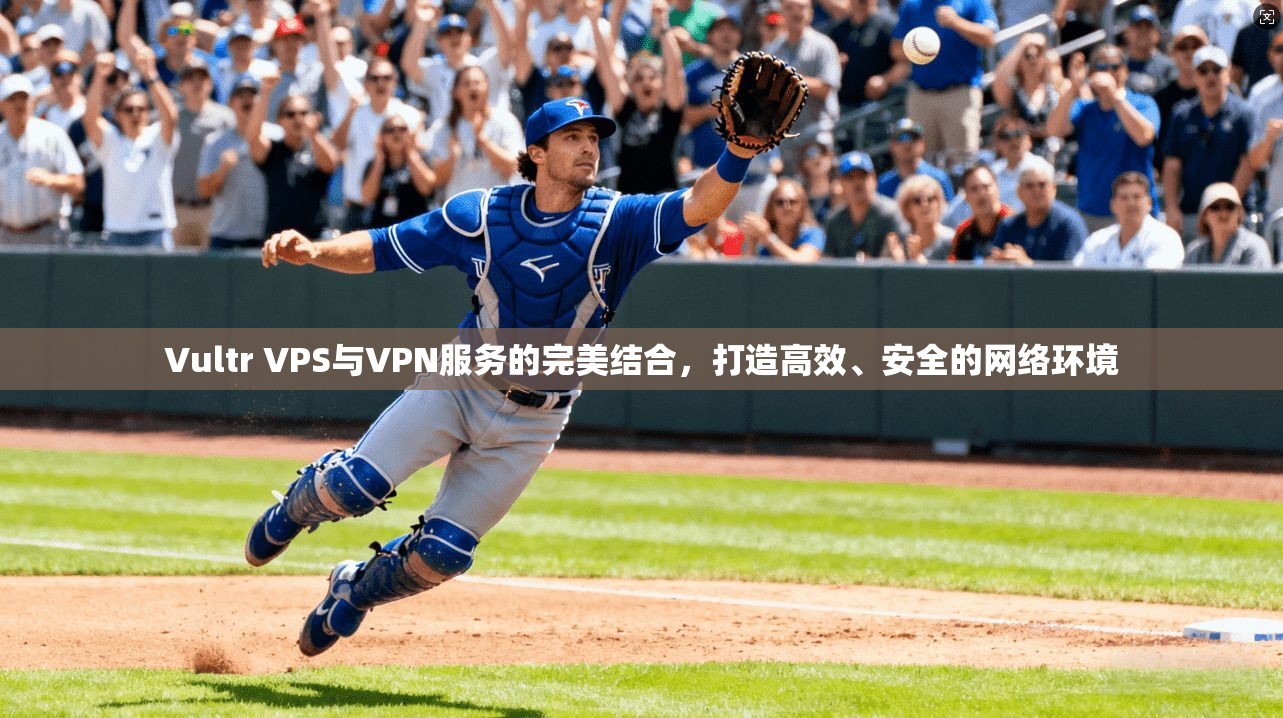 Vultr VPS与VPN服务的完美结合，打造高效、安全的网络环境