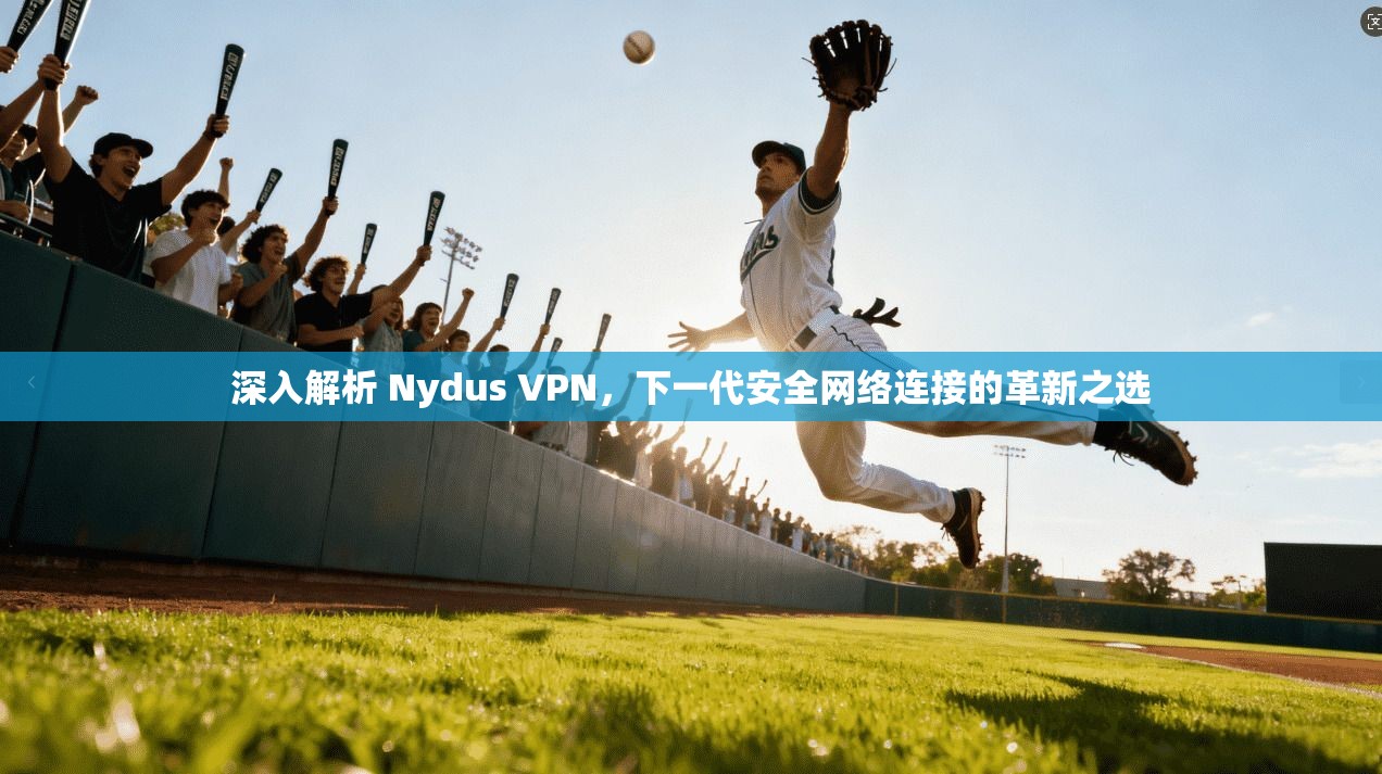 深入解析 Nydus VPN，下一代安全网络连接的革新之选