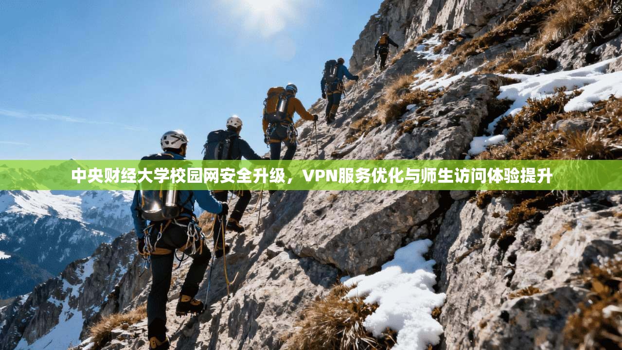 中央财经大学校园网安全升级，VPN服务优化与师生访问体验提升