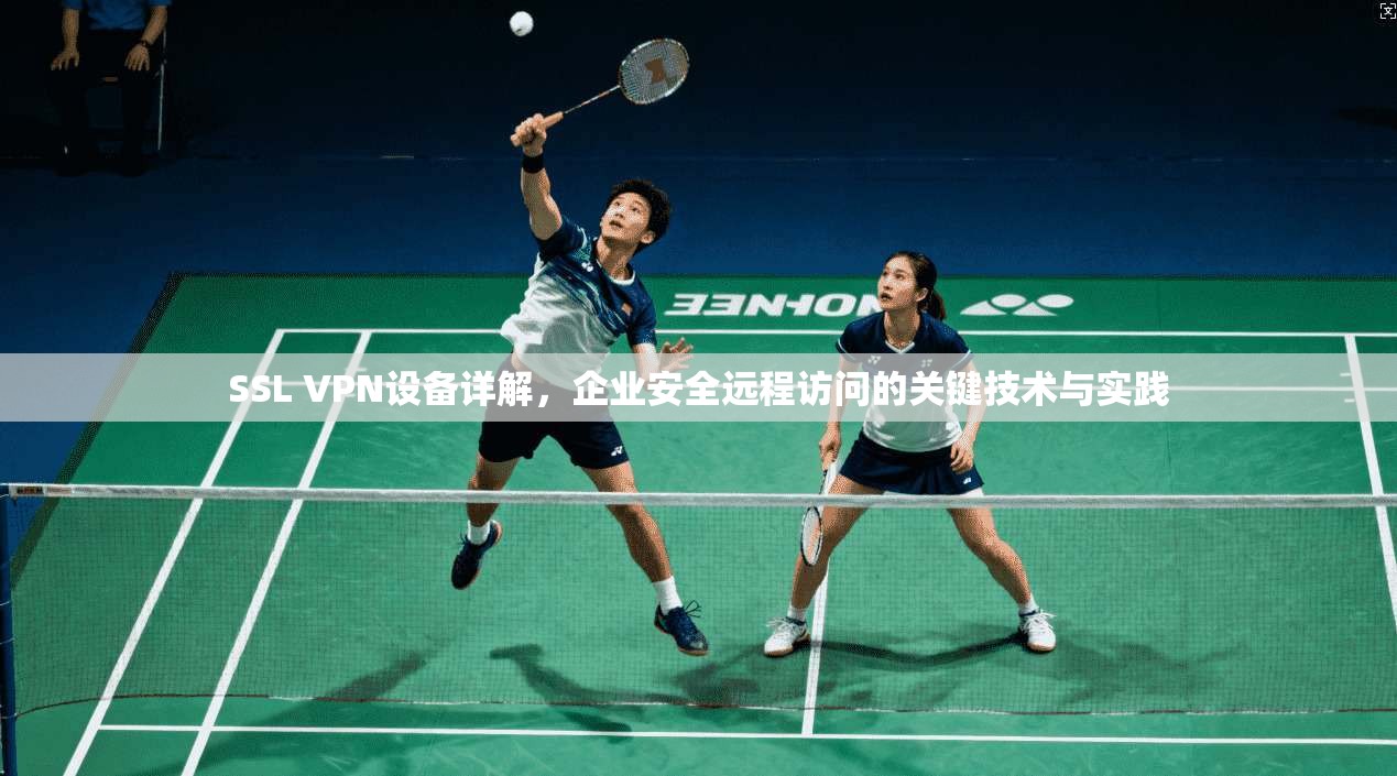 SSL VPN设备详解,企业安全远程访问的关键技术与实践 SSL VPN设备详解,企业安全远程访问的关键技术与实践