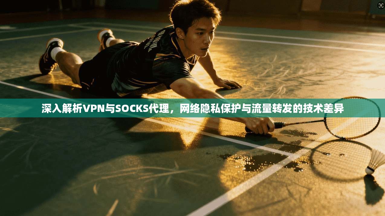 深入解析VPN与SOCKS代理，网络隐私保护与流量转发的技术差异