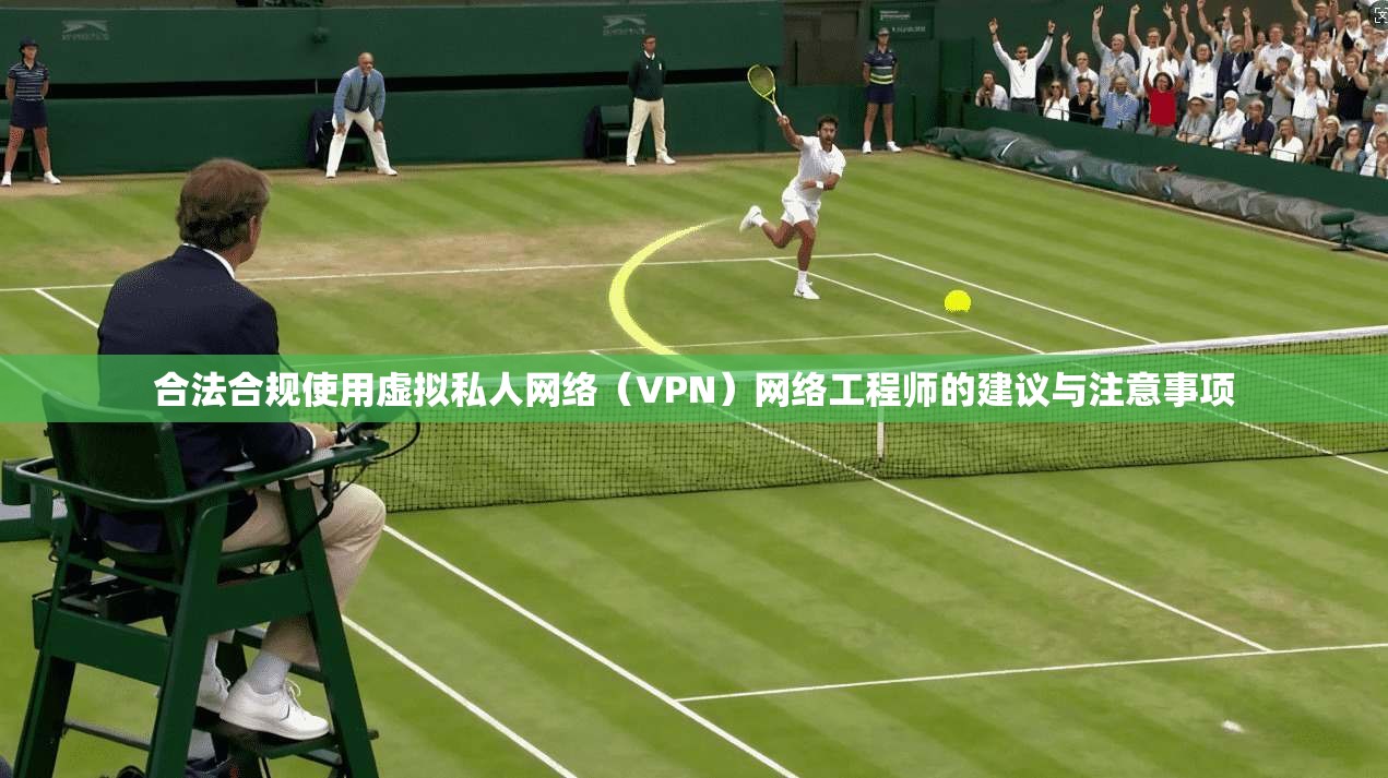 合法合规使用虚拟私人网络（VPN）网络工程师的建议与注意事项