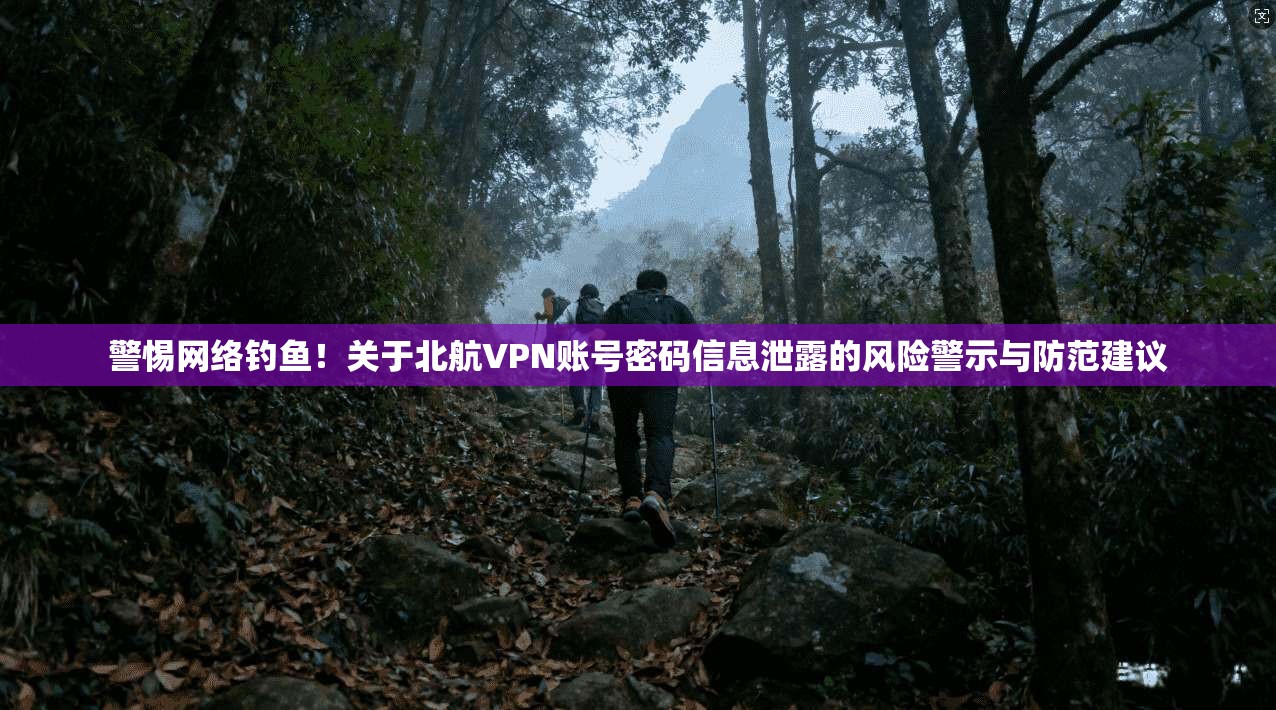 警惕网络钓鱼！关于北航VPN账号密码信息泄露的风险警示与防范建议