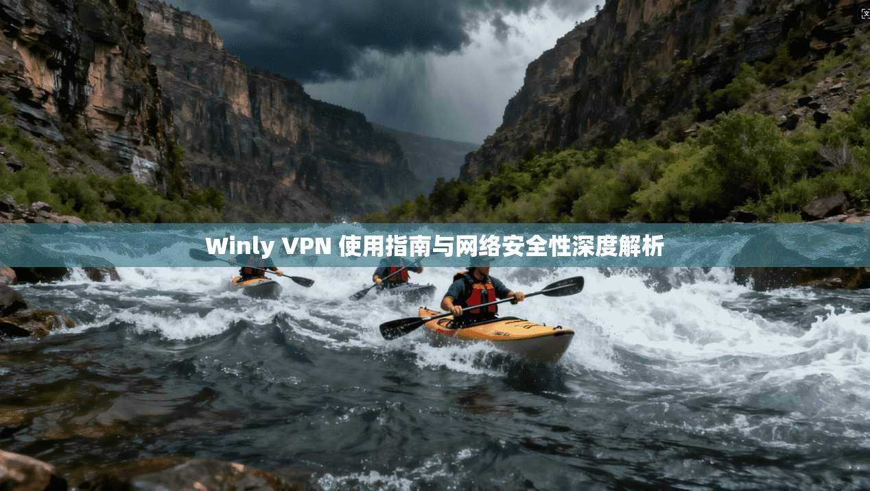 Winly VPN 使用指南与网络安全性深度解析