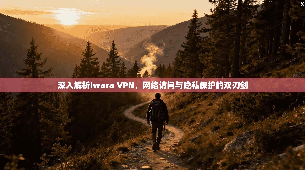 深入解析Iwara VPN，网络访问与隐私保护的双刃剑