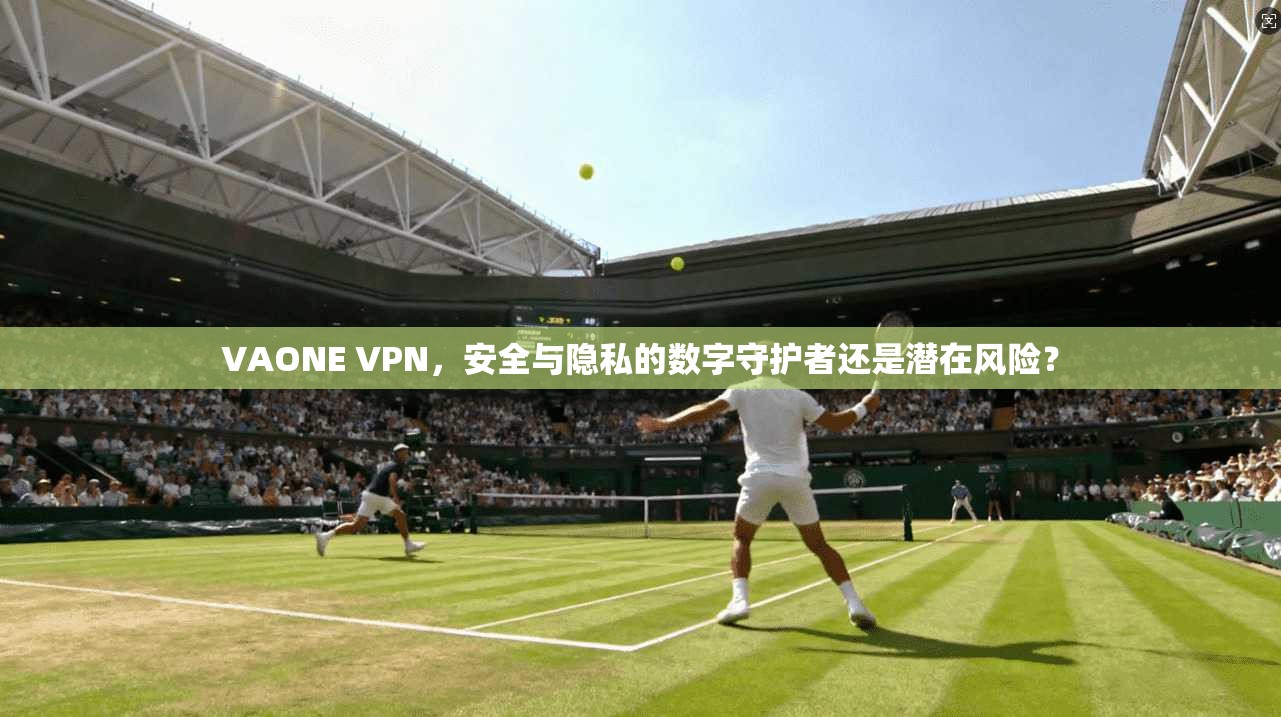VAONE VPN，安全与隐私的数字守护者还是潜在风险？