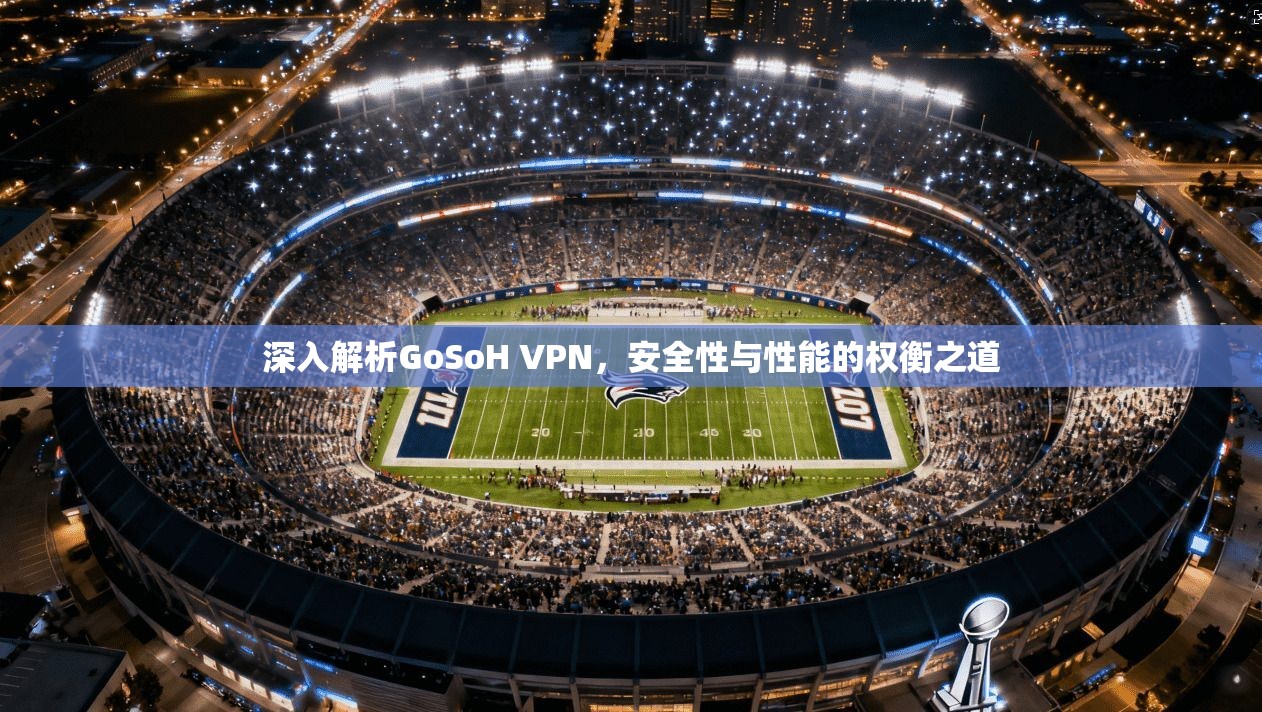 深入解析GoSoH VPN，安全性与性能的权衡之道