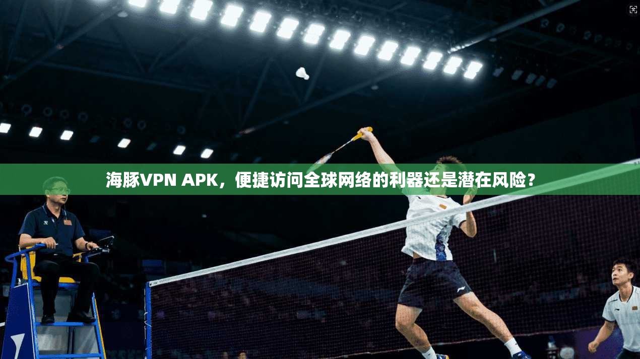 海豚VPN APK，便捷访问全球网络的利器还是潜在风险？