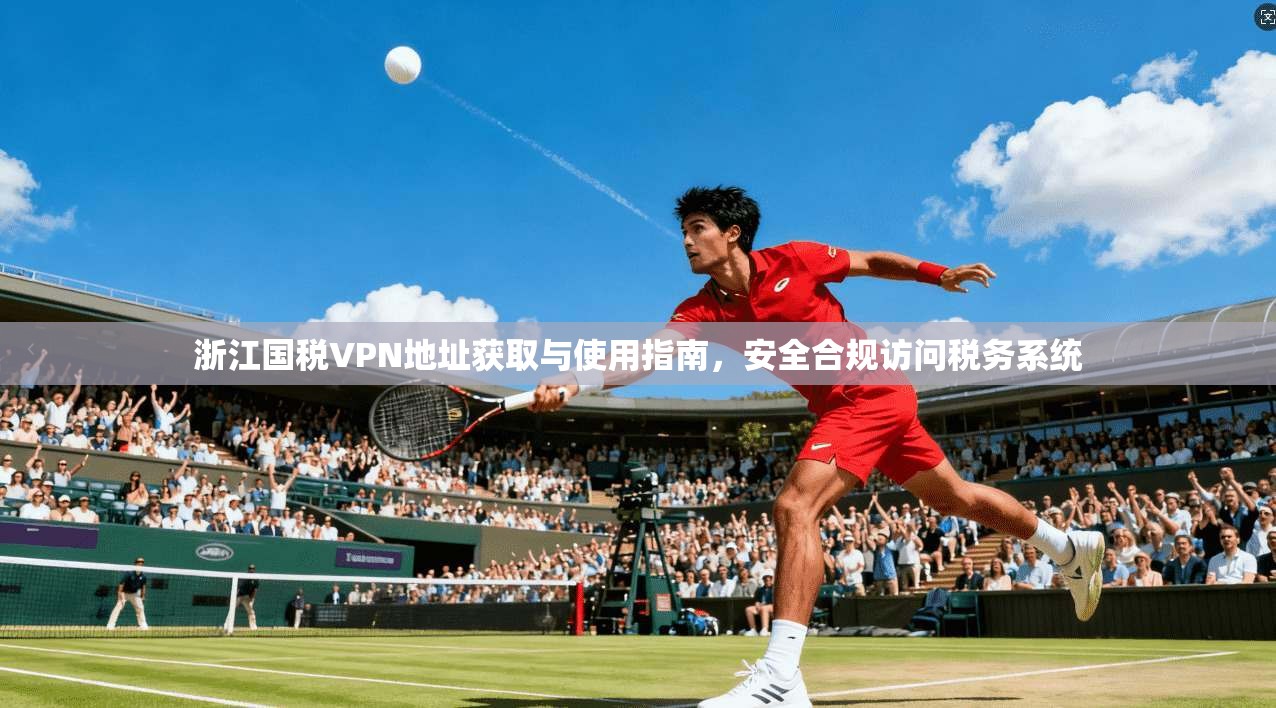 浙江国税VPN地址获取与使用指南，安全合规访问税务系统