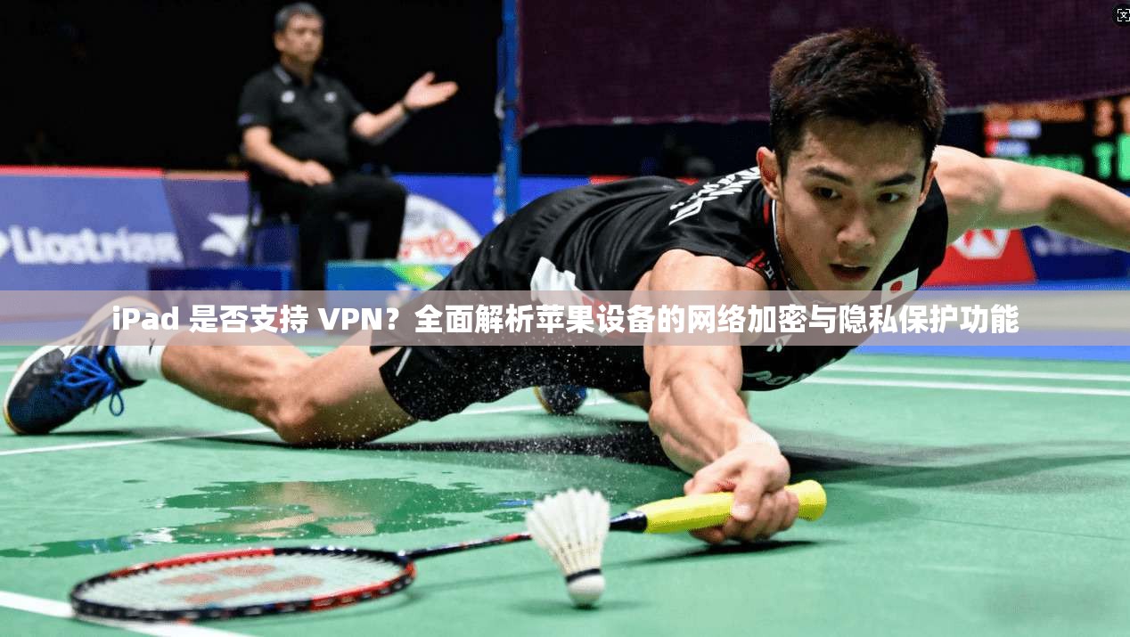 iPad 是否支持 VPN？全面解析苹果设备的网络加密与隐私保护功能