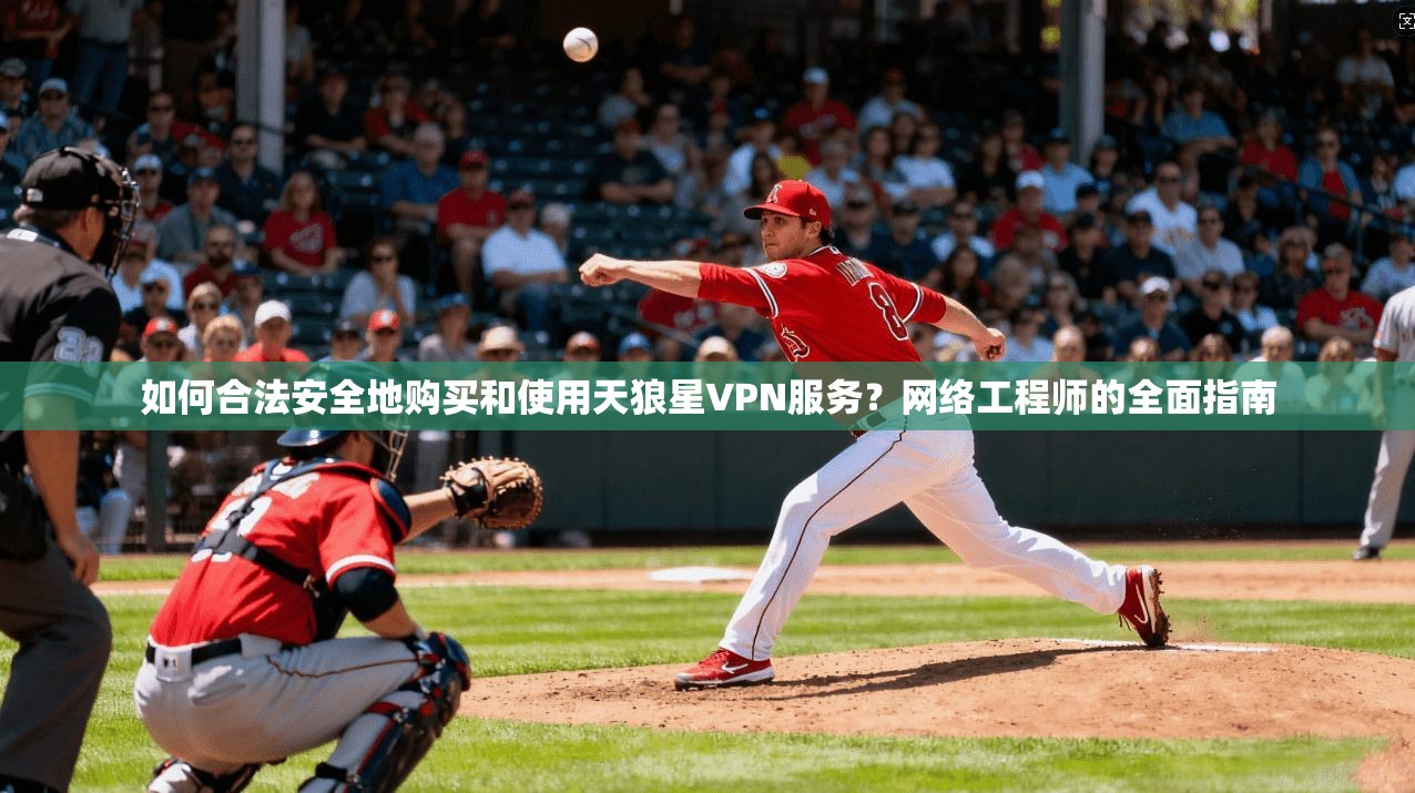 如何合法安全地购买和使用天狼星VPN服务？网络工程师的全面指南