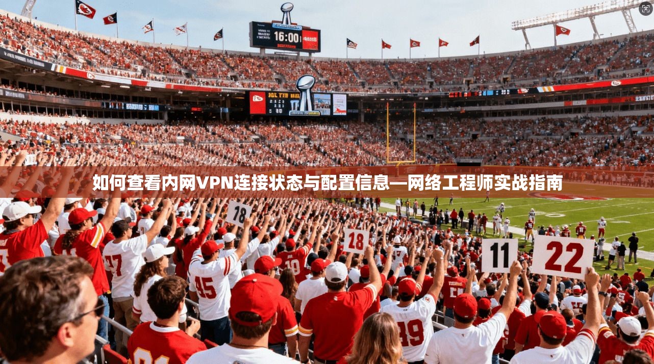 如何查看内网VPN连接状态与配置信息—网络工程师实战指南